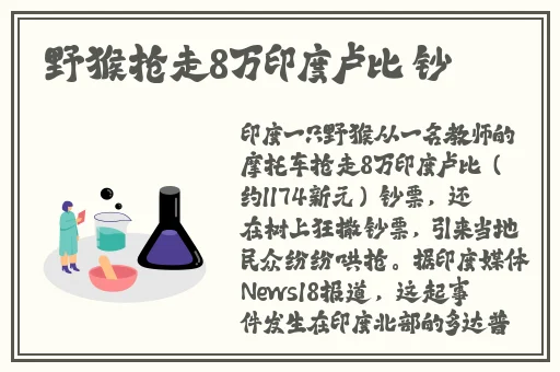 beeg日本人黑人